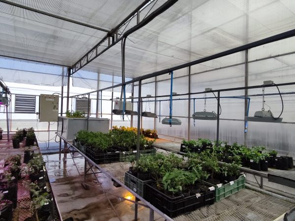 WhatsApp Image 2026-02-24 at 02.31.53